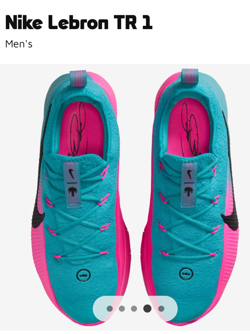 Nike LeBron TR 1 “South Beach “ Teal and Pink Men's Training Sneakers